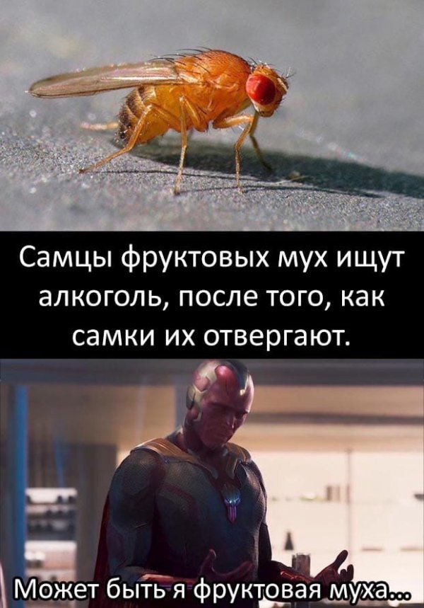 Минутка нестандартного юмора (20 фото)