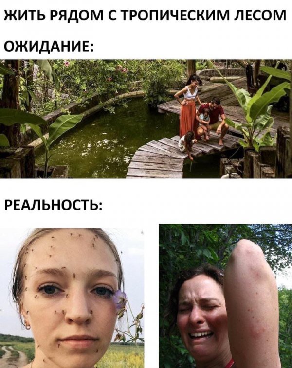 Минутка нестандартного юмора (20 фото)
