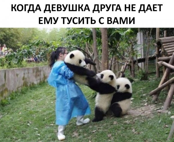 Минутка нестандартного юмора (20 фото)