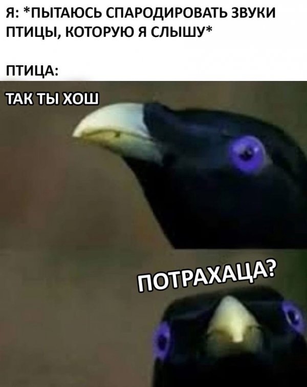 Минутка нестандартного юмора (20 фото)