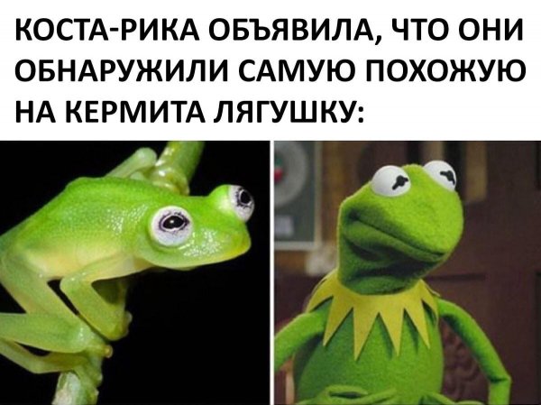 Минутка нестандартного юмора (20 фото)