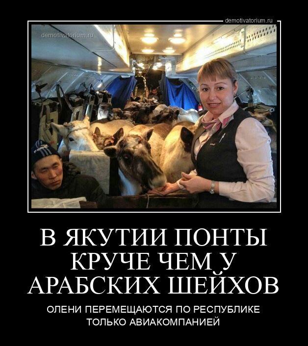 Демотиваторы вторника (17 фото)