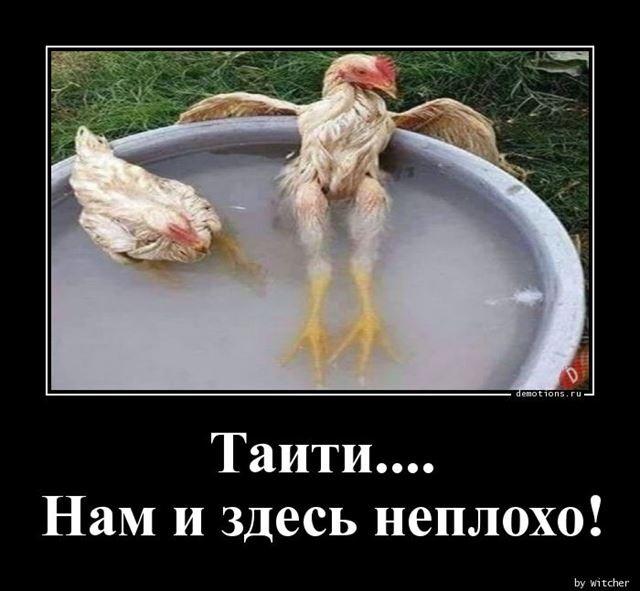 Демотиваторы вторника (17 фото)