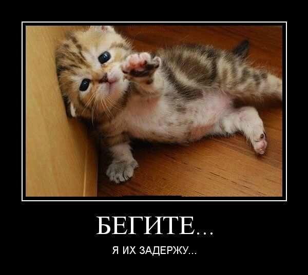 Демотиваторы вторника (17 фото)