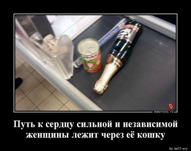 Демотиваторы вторника (17 фото)