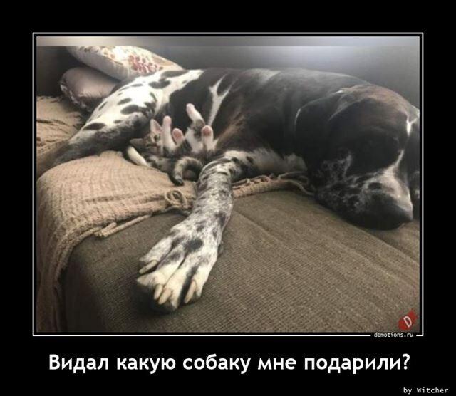 Демотиваторы четверга (15 фото)