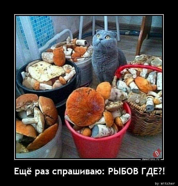 Демотиваторы четверга (15 фото)