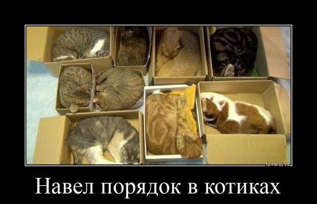 Демотиваторы четверга (15 фото)
