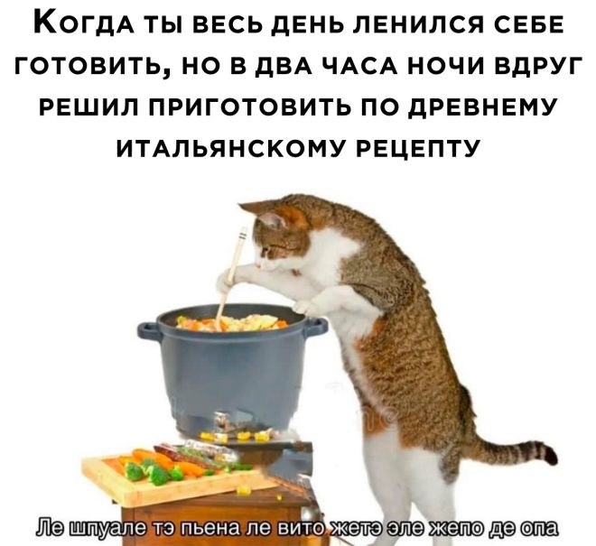 Доведение до абсурда (30 фото)