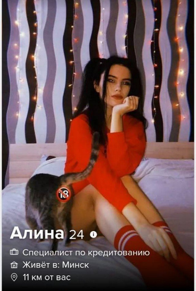   Tinder (14 )