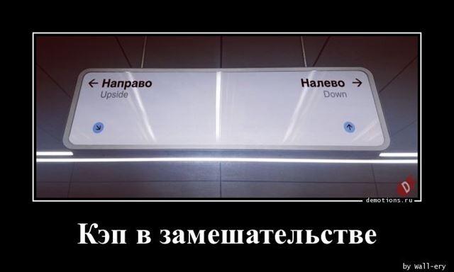 ������������ �������� (13 ����)