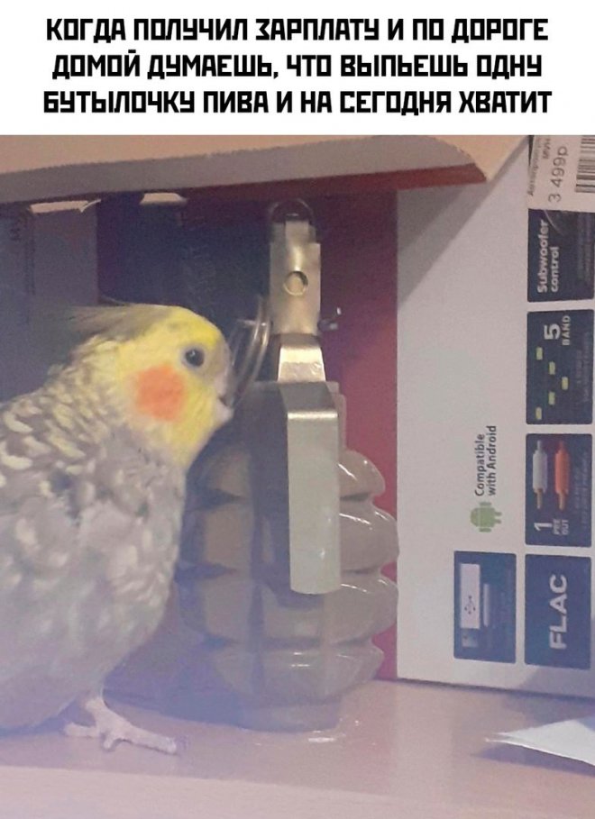 �������� ��� ������� ���������� (30 ����)