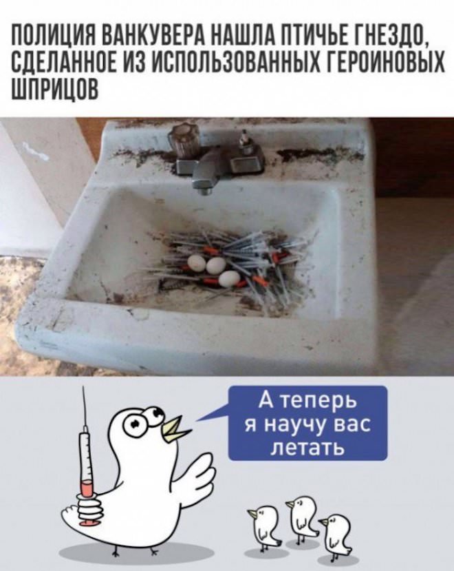 �������� ��� ������� ���������� (30 ����)