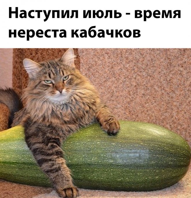 �������� ��� ������� ���������� (30 ����)