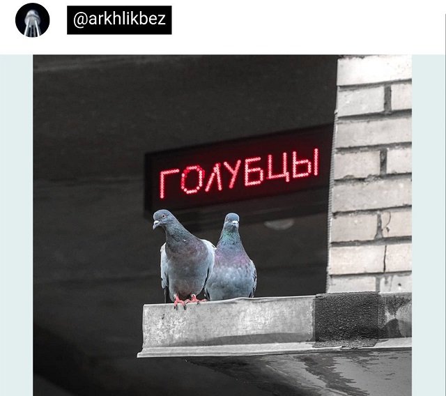 Забавное из твиттера (15 фото)