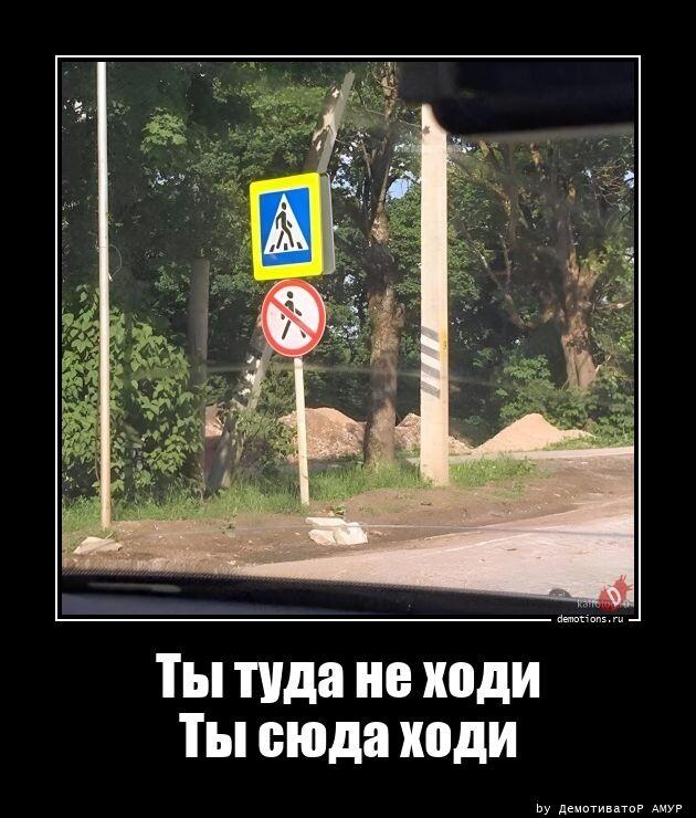 Демотиваторы четверга (14 фото)