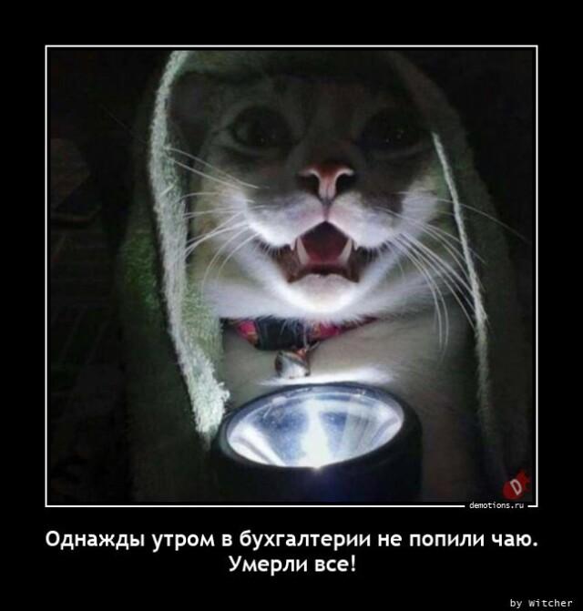 Демотиваторы четверга (14 фото)