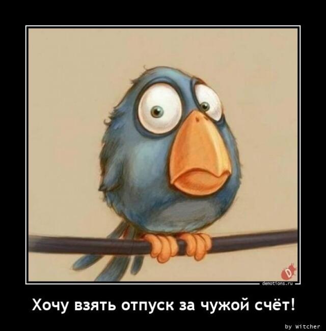Демотиваторы четверга (14 фото)