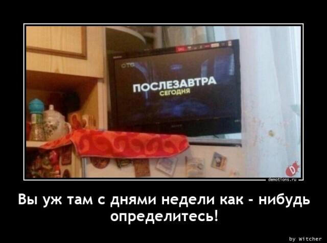 Демотиваторы четверга (14 фото)