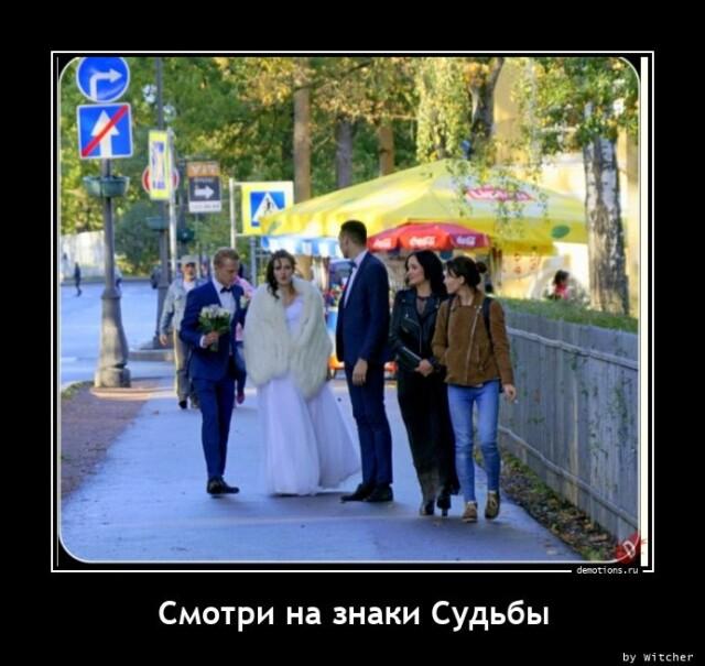 Демотиваторы четверга (14 фото)