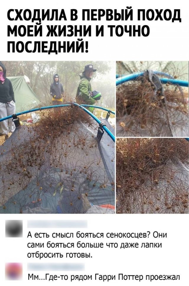 Ржачные комменты с просторов сети (15 фото)
