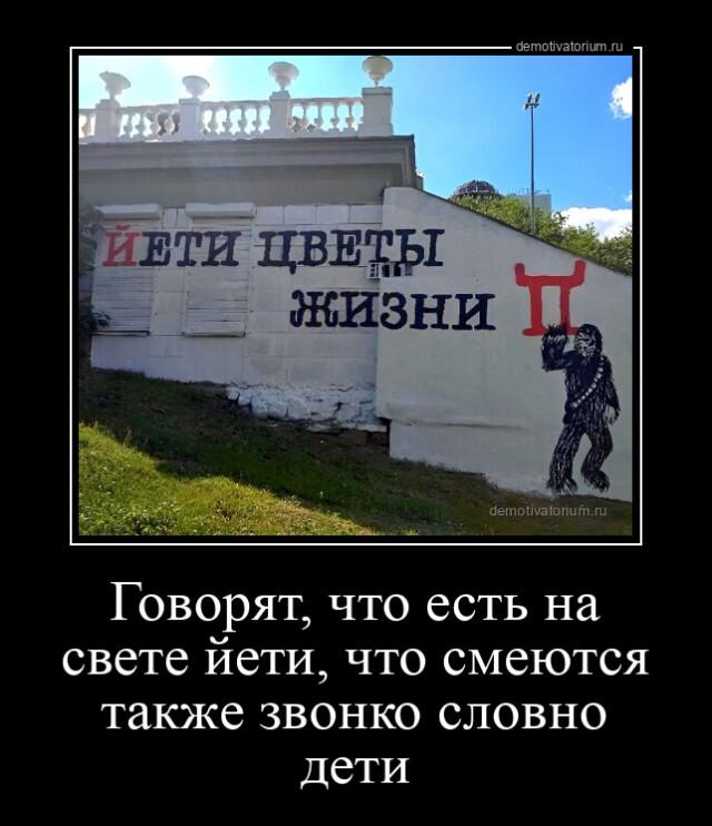 ������������ ������������ (20 ����)