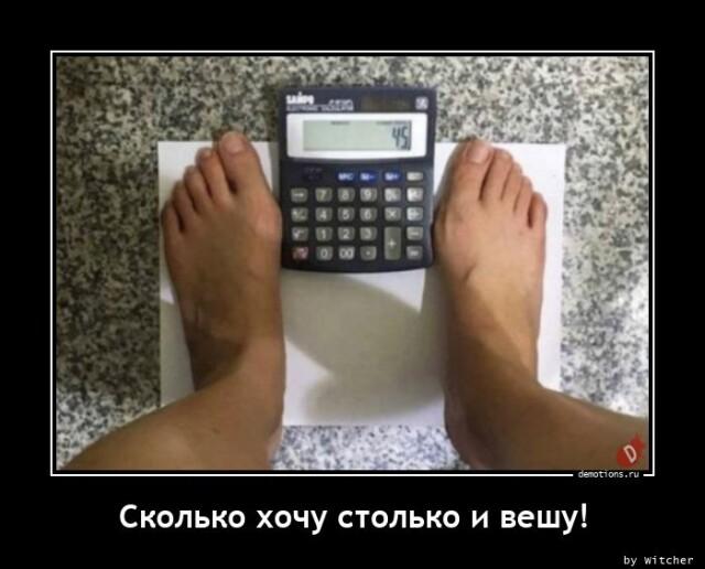 ������������ ������������ (20 ����)