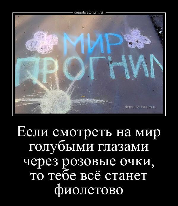 ������������ ������������ (20 ����)