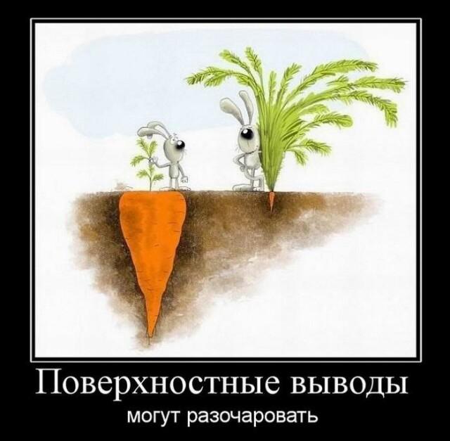 ������������ ������������ (20 ����)