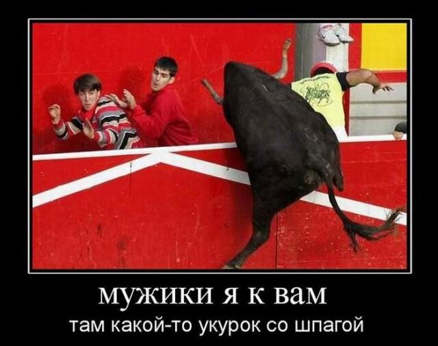 ������������ ������������ (20 ����)