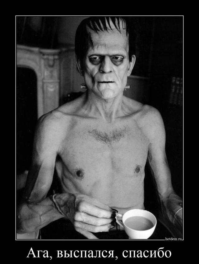 ������������ ������������ (20 ����)