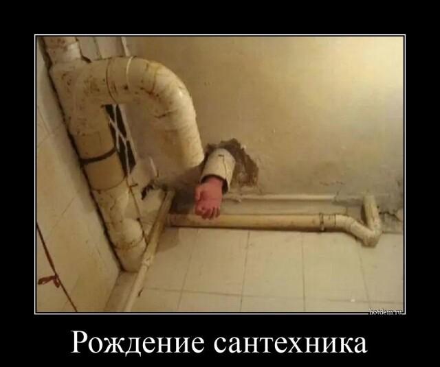 ������������ ������������ (20 ����)