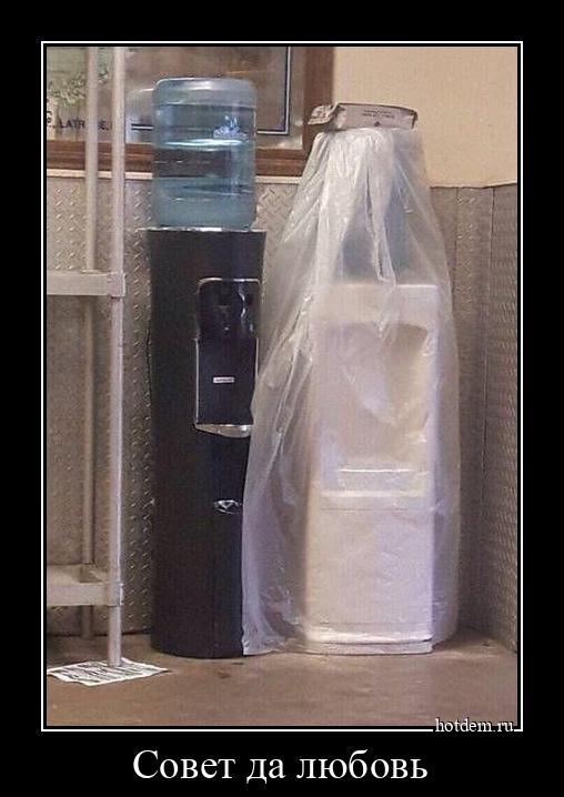 ������������ ������������ (20 ����)