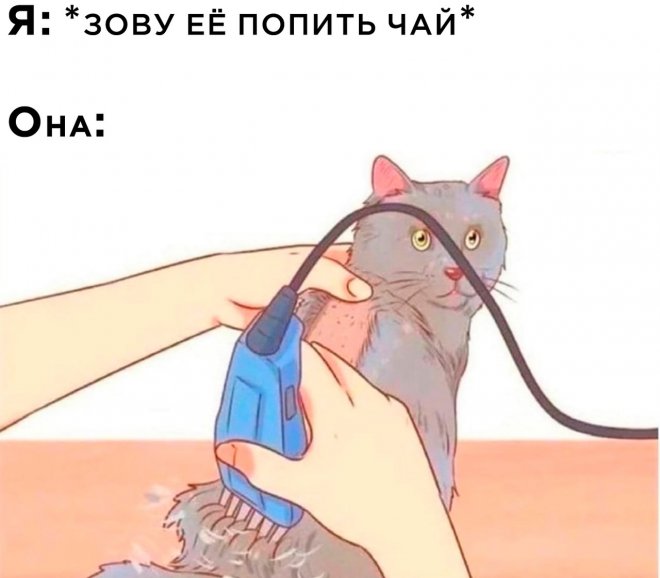 ������� ������� ����� � �������� (25 ����)