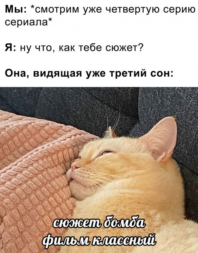������� ������� ����� � �������� (25 ����)