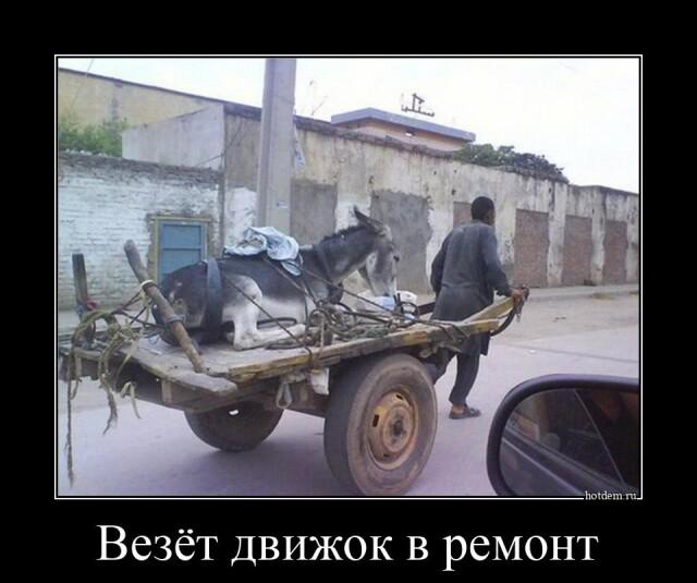 Демотиваторы понедельника (13 фото)
