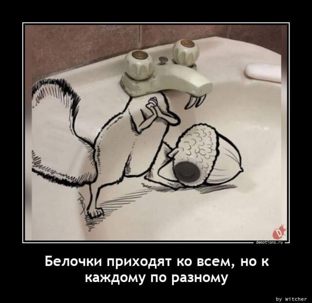 Демотиваторы понедельника (13 фото)