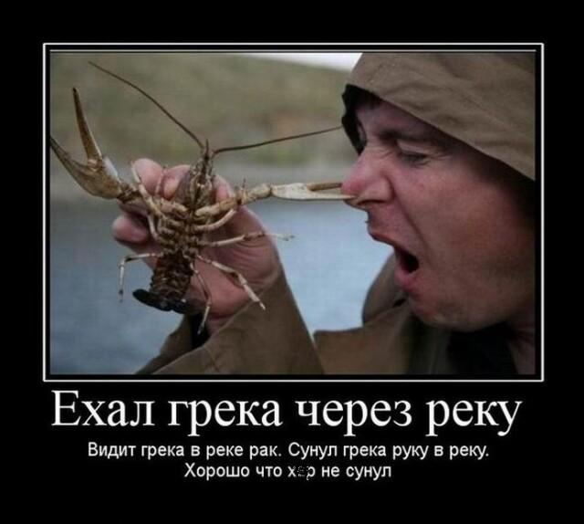 Демотиваторы понедельника (13 фото)