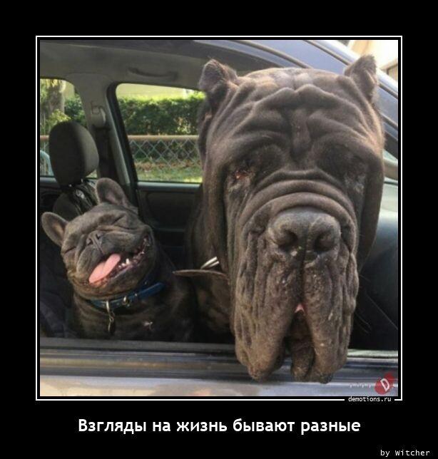 Демотиваторы понедельника (13 фото)