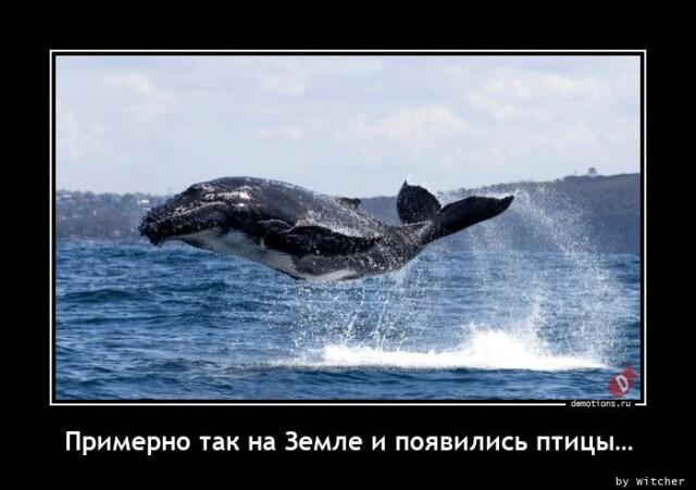 Демотиваторы вторника (16 фото)