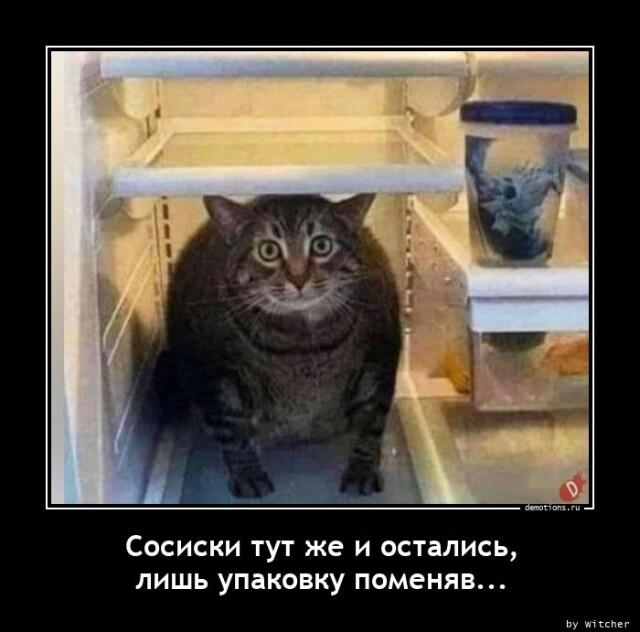 Демотиваторы среды (17 фото)