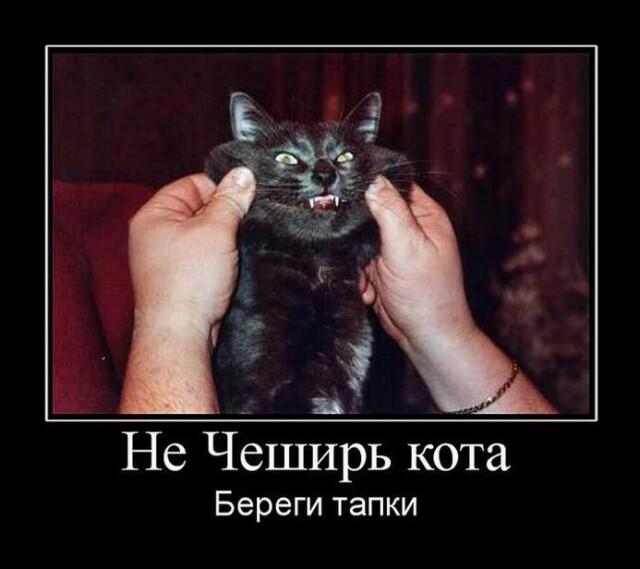 Демотиваторы среды (17 фото)