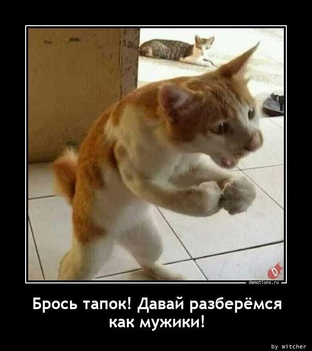 Демотиваторы среды (17 фото)