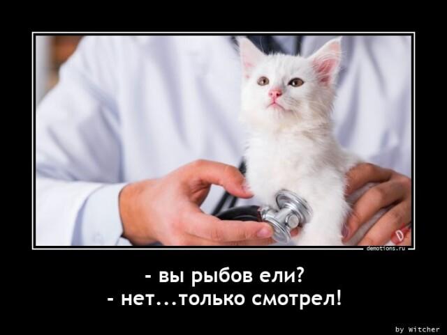Демотиваторы среды (17 фото)