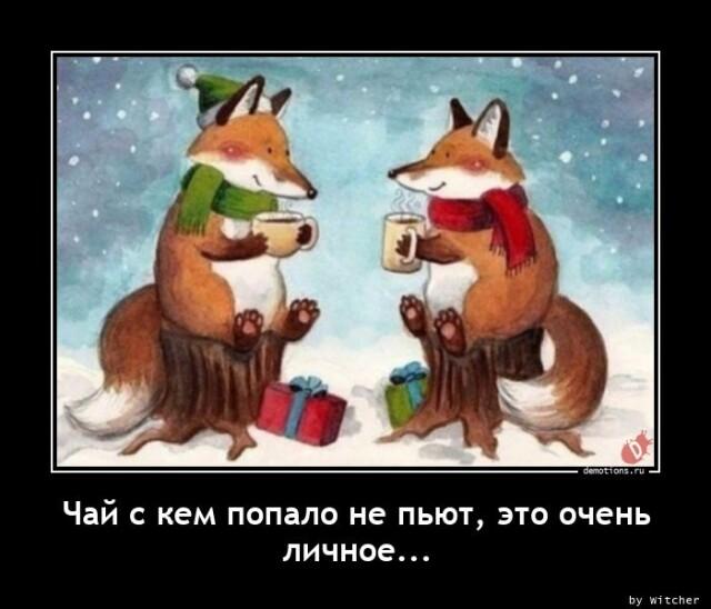 Демотиваторы среды (17 фото)