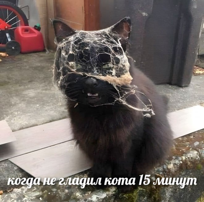 Подборка свежих мемов и приколов из сети (26 фото)
