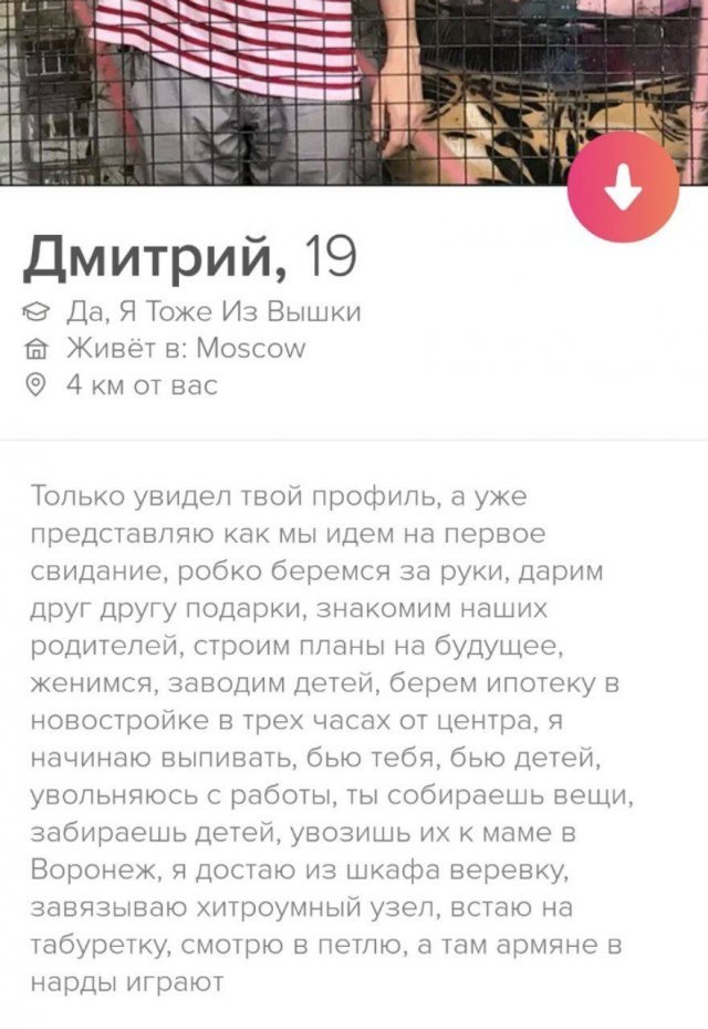   Tinder (17 )