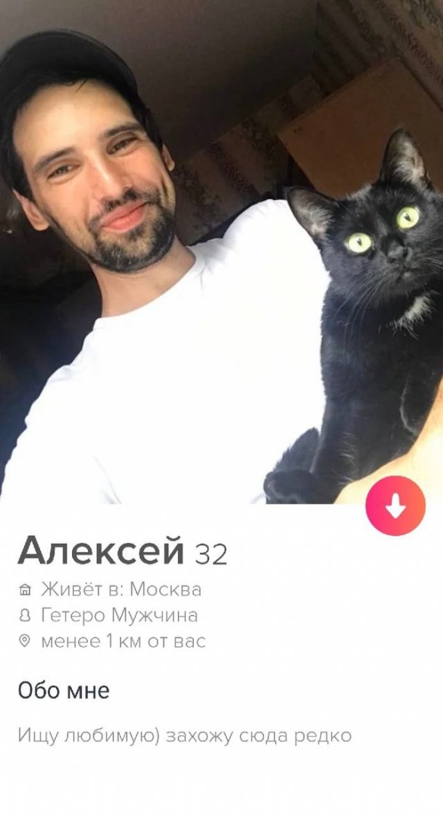   Tinder (17 )