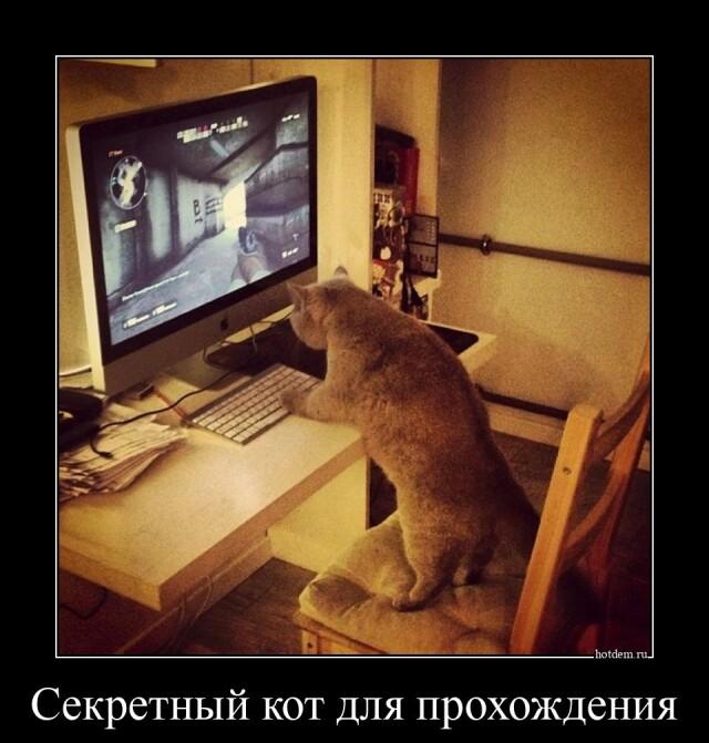 Демотиваторы среды (14 фото)