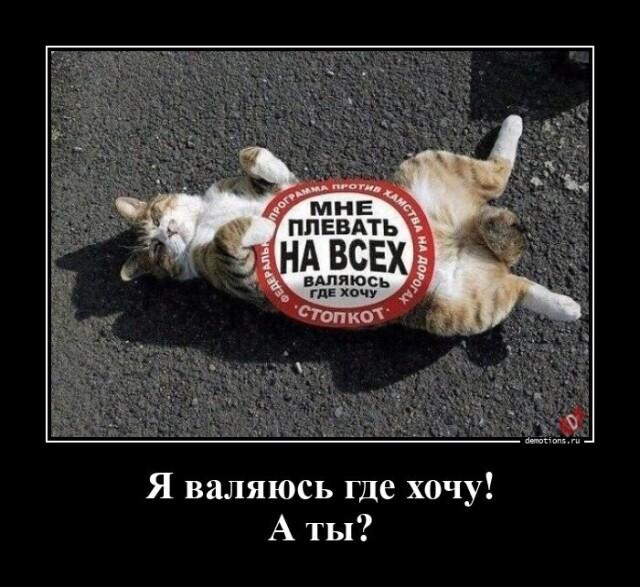 Демотиваторы среды (14 фото)